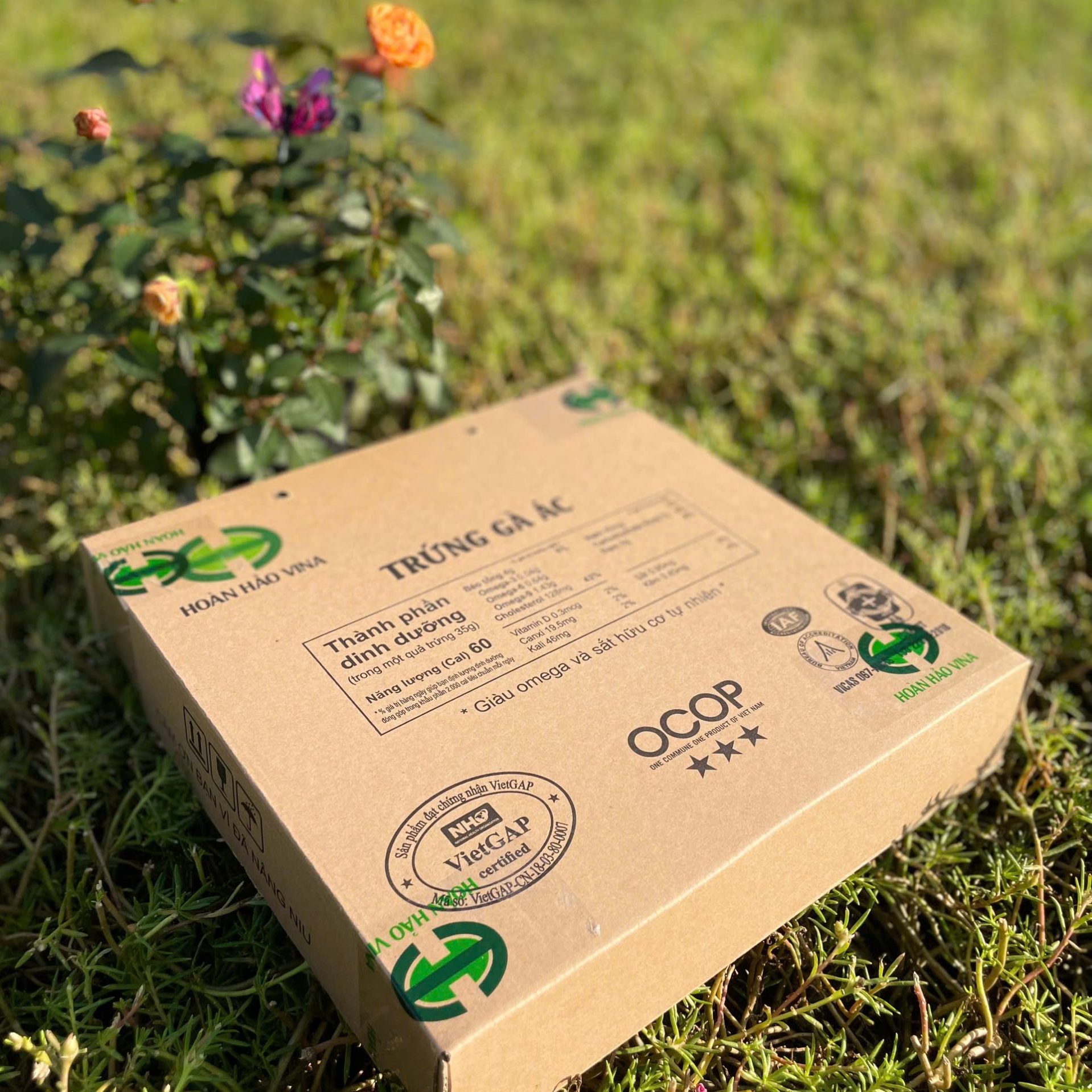 z6411782596784_dbcbe98008a5a1f6579986aa1aa9418c